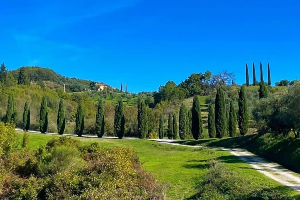 Rododendro Casa Sulle Colline Toscane Vicino San Giminiano Montaione Extérieur photo
