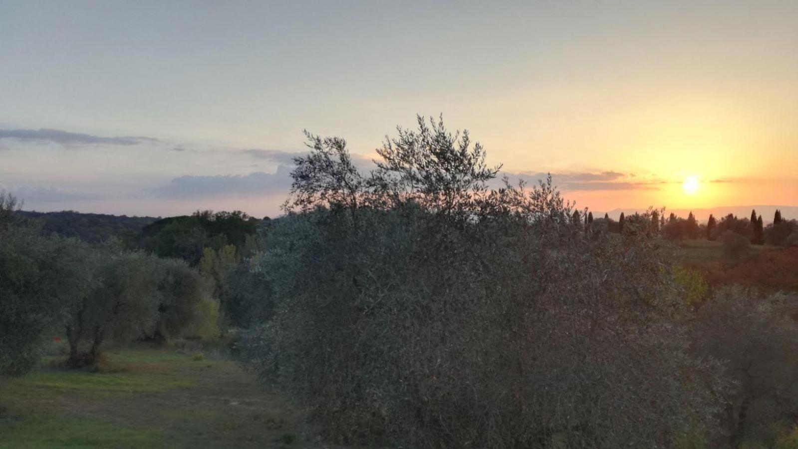 Rododendro Casa Sulle Colline Toscane Vicino San Giminiano Montaione Extérieur photo