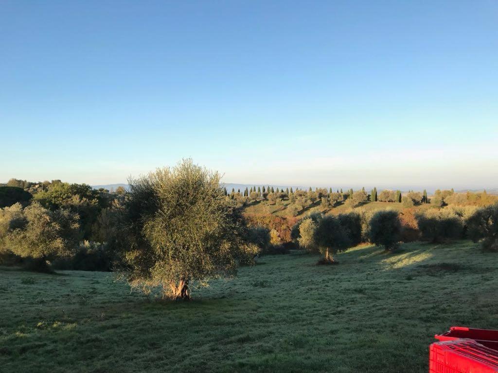 Rododendro Casa Sulle Colline Toscane Vicino San Giminiano Montaione Extérieur photo