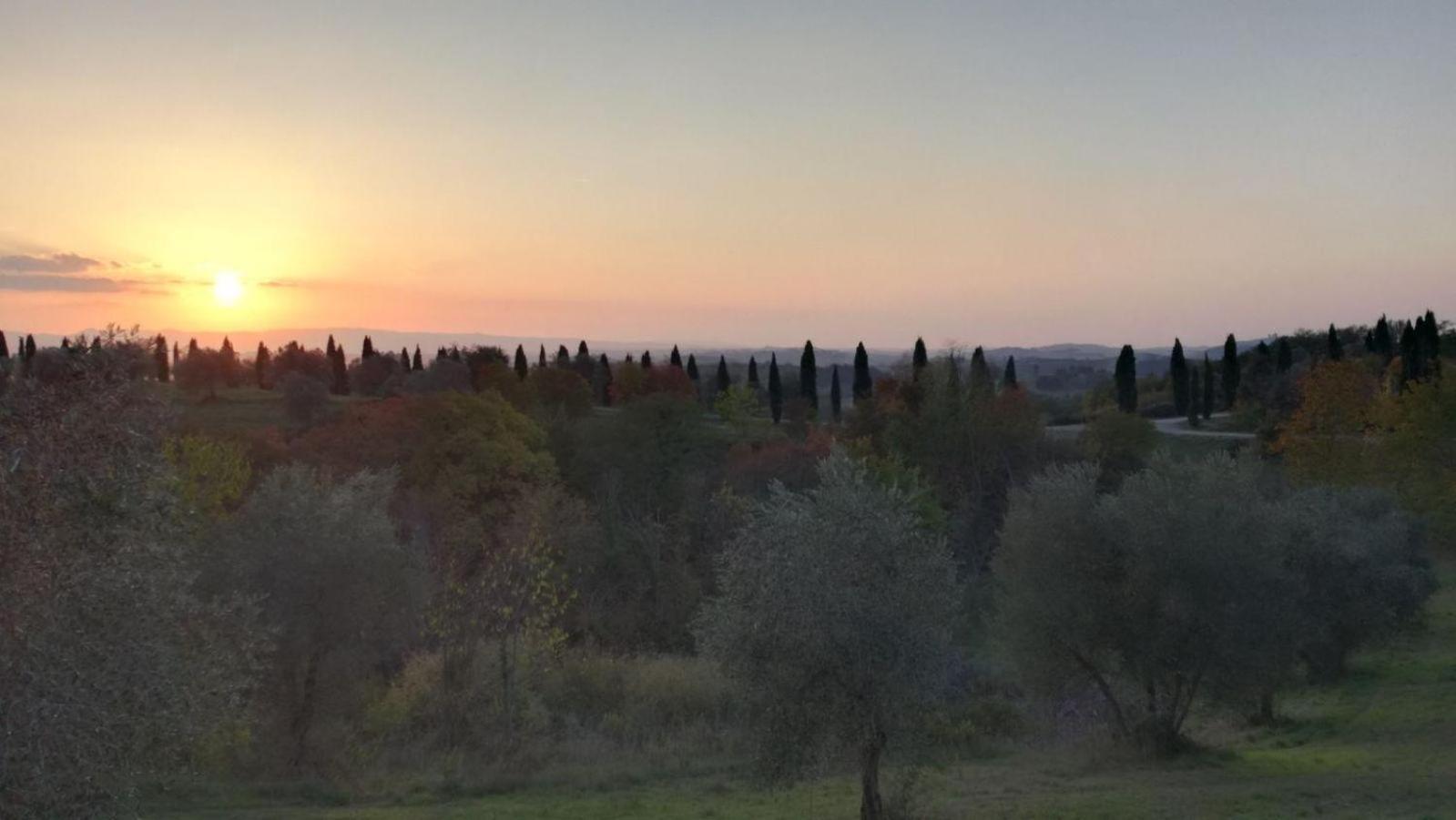 Rododendro Casa Sulle Colline Toscane Vicino San Giminiano Montaione Extérieur photo